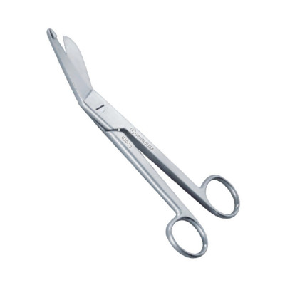 Plaster Shears