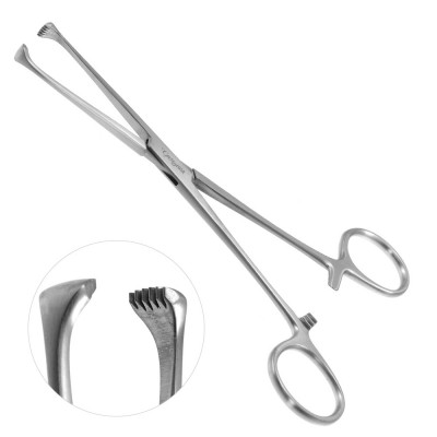 Boys Allis Tissue Forceps 5x6 Teeth 6 inch Heavy Pattern