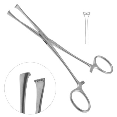 Lockwood Tissue Forceps 7 3/4 inch