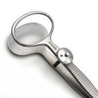 Desmarres Chalazion Forceps