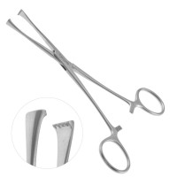 Lockwood Allis Tissue Forceps 6 1/4"