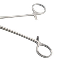 Allis Willauer Tissue Forceps  5X6 Teeth 10"