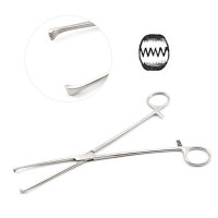 Allis Willauer Tissue Forceps  5X6 Teeth 10"