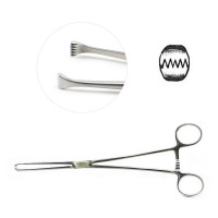 Allis Tissue Forceps 5x6 Teeth 6"