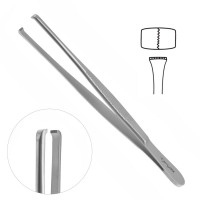 Martin Tissue Forceps 7x8 Teeth Size 6"